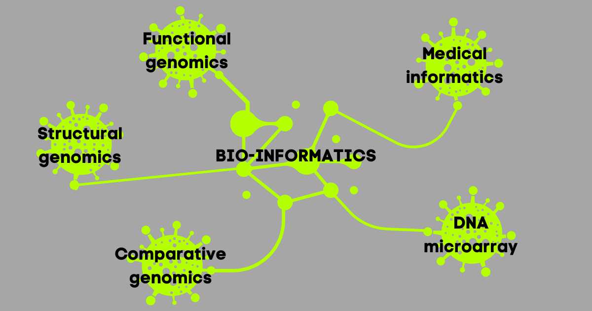 bio informatics